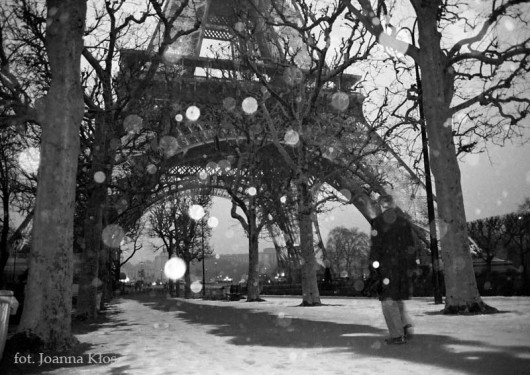Zoom sur Paris Chilli Art