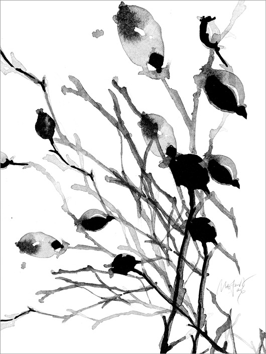 Dzika róża print, 30x40 cm Margo Hupert