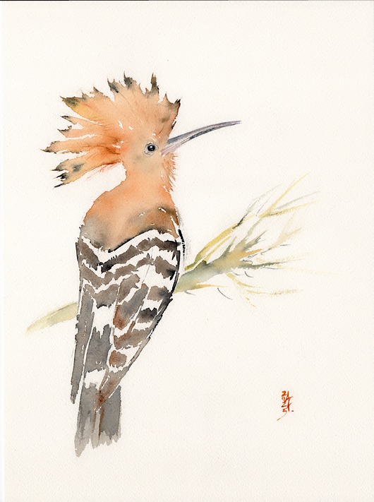 obrazy Oryginalna akwarela. Dudek