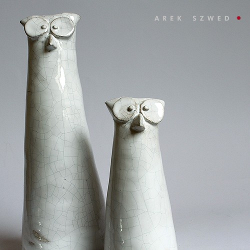 sowy 2.3 Arek Szwed