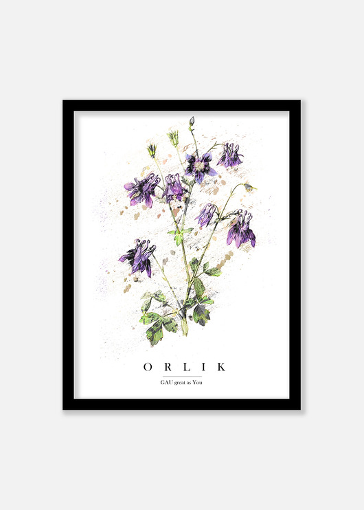ORLIK Plakat GAU Home