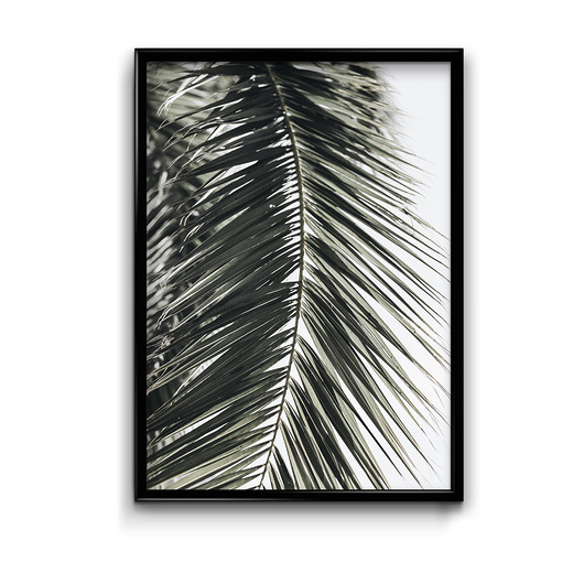 plakaty Plakat Botanic #5