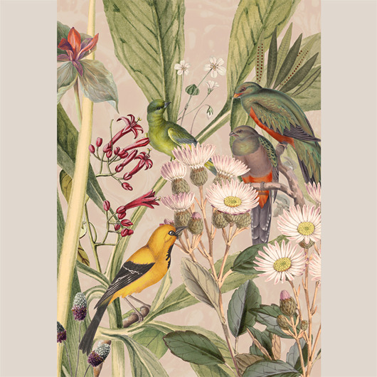 grafiki i ilustracje Plakat - Canary Bird