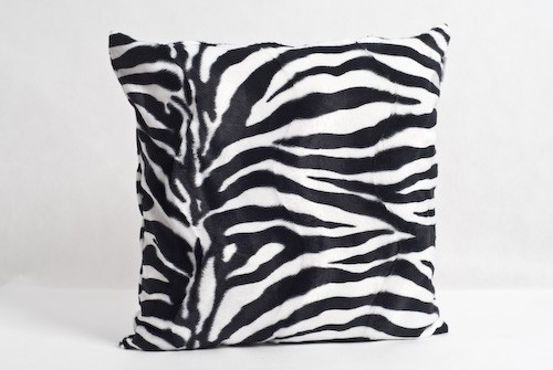 Zebra TUTU Design