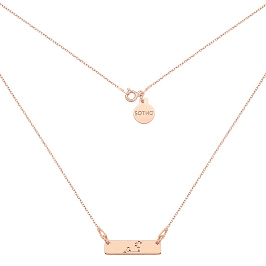 srebrne naszyjniki Naszyjnik z różowego złota z konstelacją Lwa