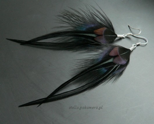 blackbird Stella