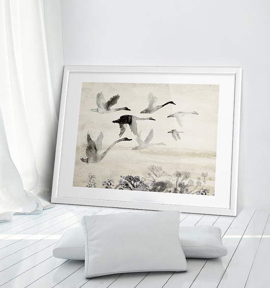 Plakat Dzikie łabędzie  50x70 cm Anita Tomala