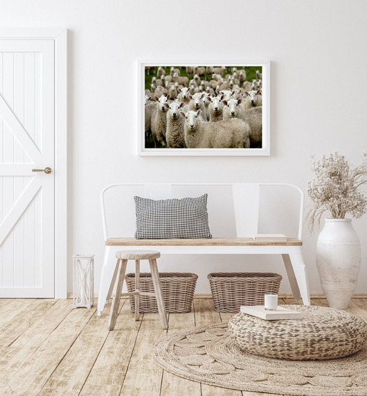 plakaty PLAKAT fotografia owce barany góry