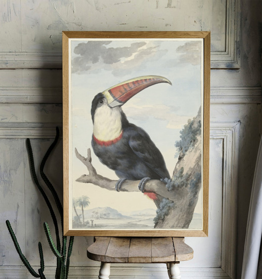 plakaty PLAKAT vintage ilustracja grafika flaming