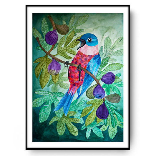 FIGOWY PTAK  ilustracja drukowana muamua design