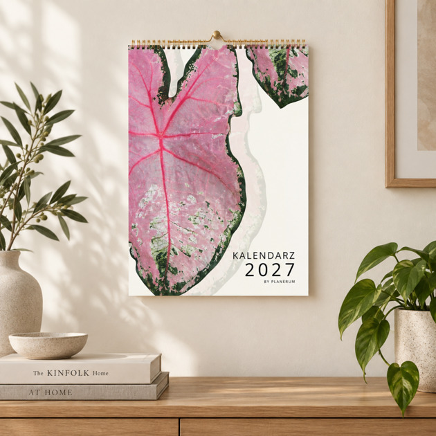 kalendarze i plannery Kalendarz 2027 ścienny BOTANICAL A3 na spirali