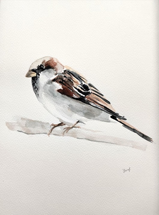 Akwarela wróbel Wiktoria Borys Art