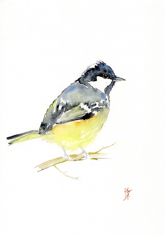 obrazy Oryginalna akwarela. Sikora bogatka