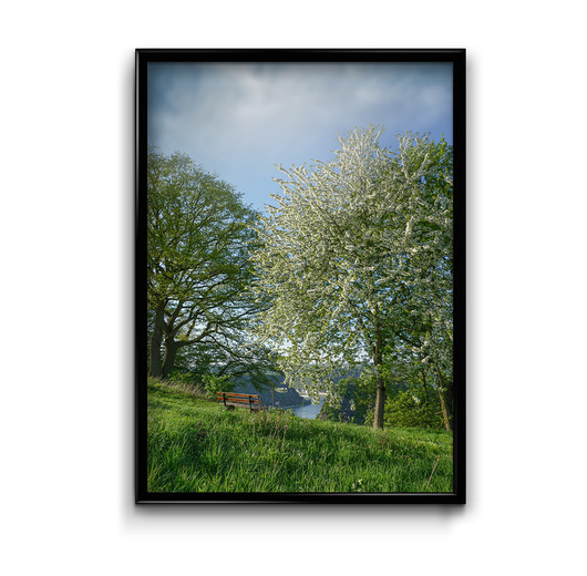 plakaty Plakat Ławeczka