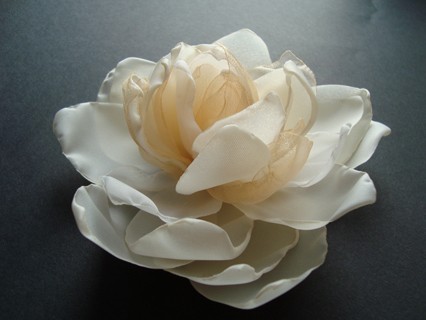PERSITERA SundayRose