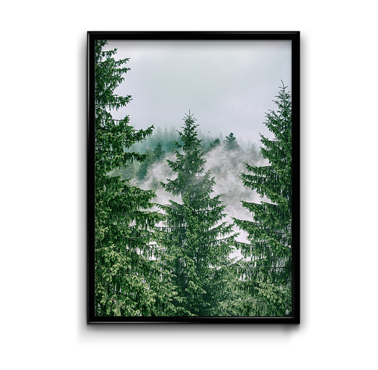 plakaty Plakat Las Świerkowy