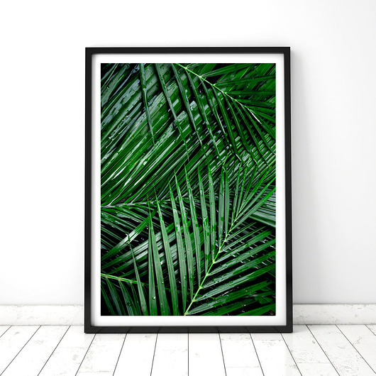Plakat Palmy 3 COLORMINT
