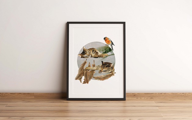 plakaty Plakat "Kot", A3