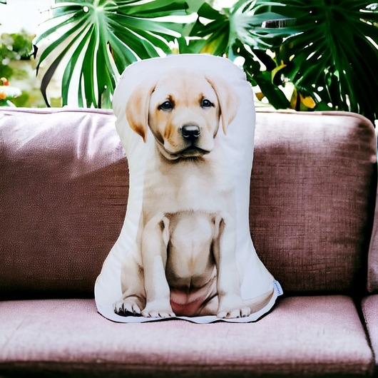 poduszki z grafiką Poduszka piesek przytulanka z pieskiem pies maskotka pies labrador