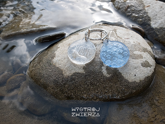 adresówka  WATERBLUE  _ by Wystrój Zwierza Wystrój Zwierza