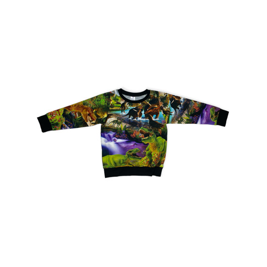 bluzy dla chłopców Bluza Dinozaury rozmiar 116