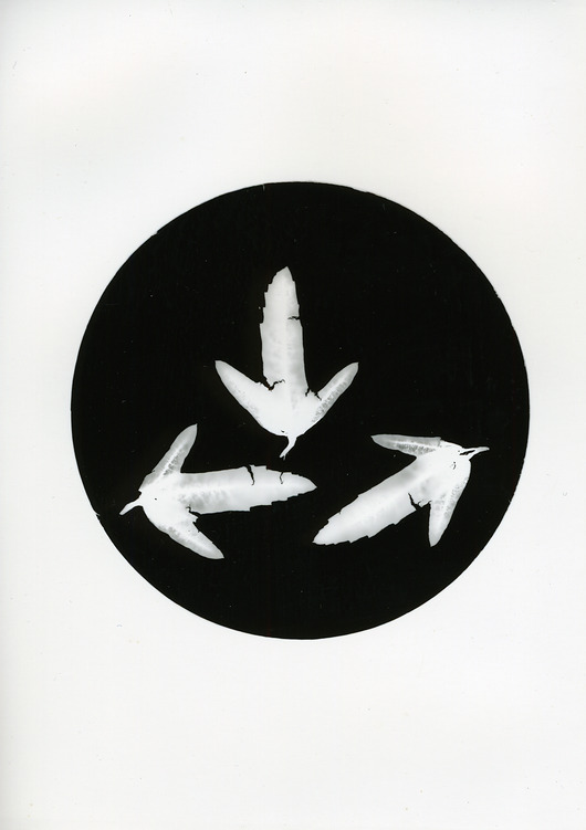 fotografia W trójkę