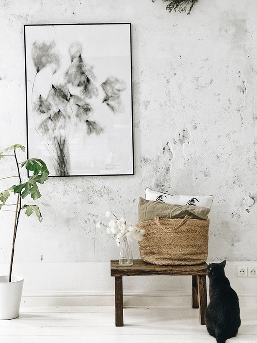 Wełnianka Eriophorum |print|40x50 cm Margo Hupert