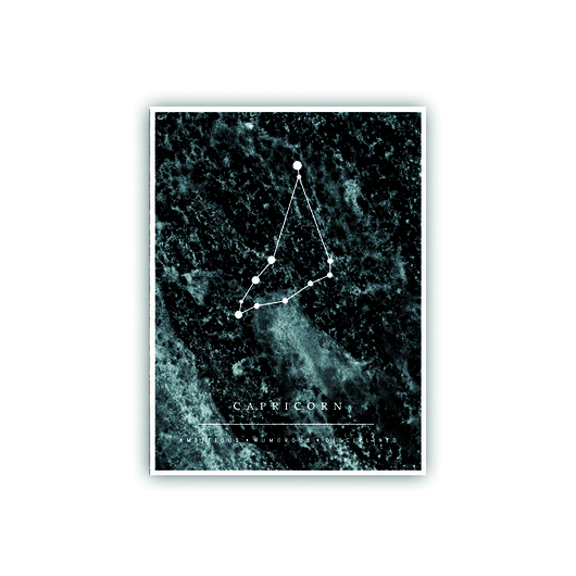 Plakat CAPRICORN muybien