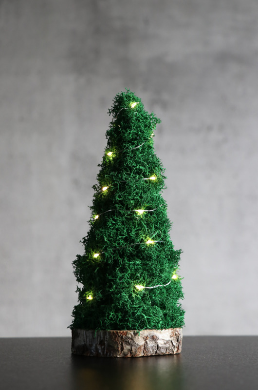 choinki Choinka z mchu na plastrze drewna z lampkami