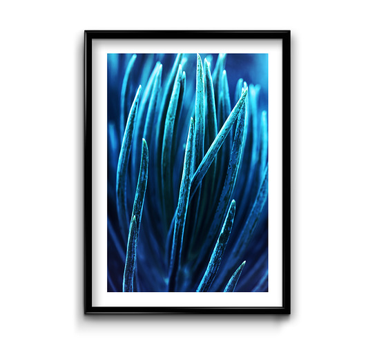 Plakat Navy Blue # 3  Bury Lis