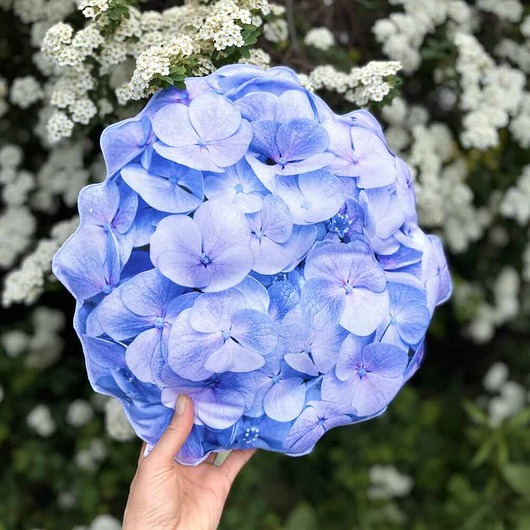 poduszki z grafiką Poduszka Wodoodporna Mała Hortensja Blue