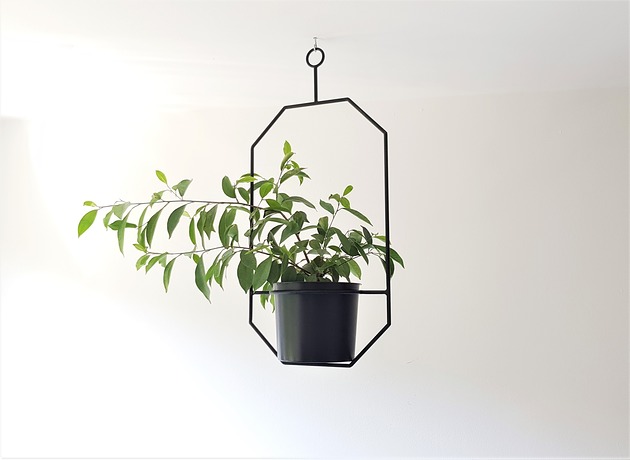 Kwietnik GEO No11 SBN Design