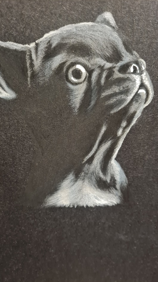 grafiki i ilustracje Obrazek Tajemniczy Buldożek ręcznie rysowany