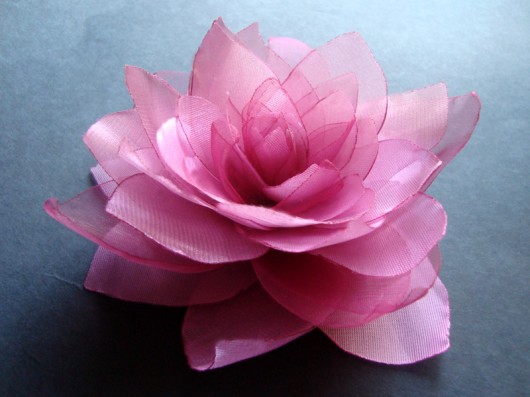 piwonia SundayRose