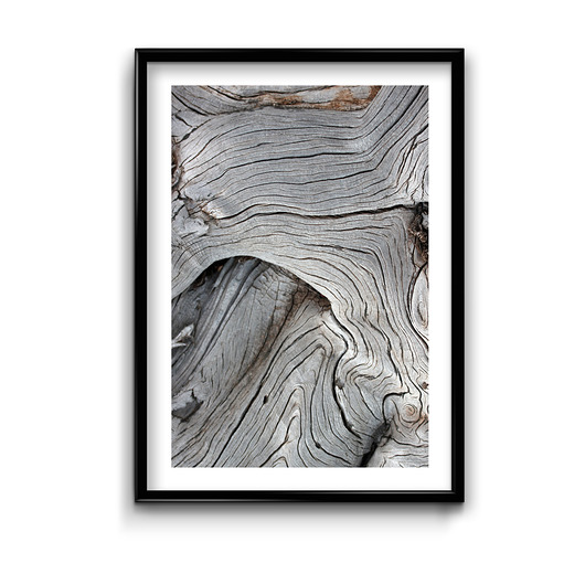 plakaty Plakat Drewno  No.1