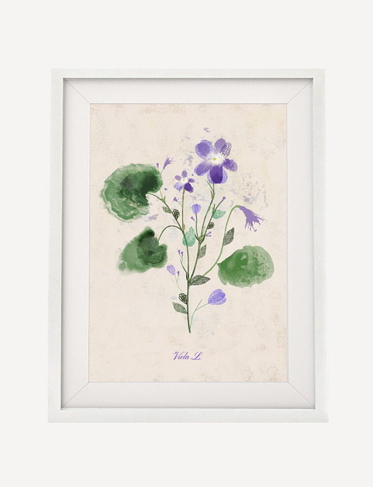 Fiołek | ilustracja botaniczna A4 Anita Tomala