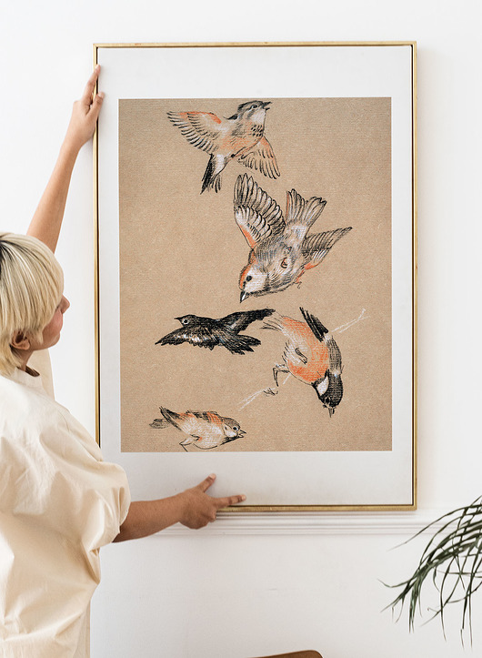 Plakat Birds  50x70 cm Milo Mi