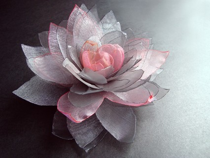 TRIOFIM SundayRose