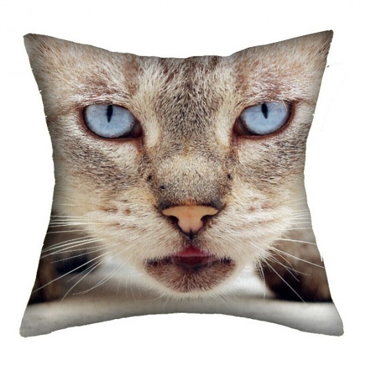 promocja! rzymskie koty 1 - poducha 45 cm AT design