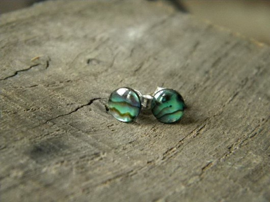 paua Beata Trotter