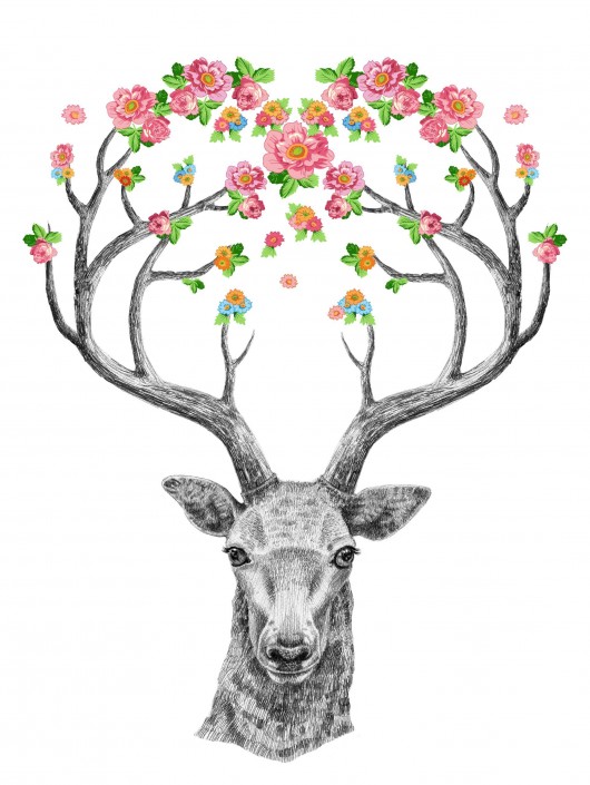 pink garden& miś Tiri riri