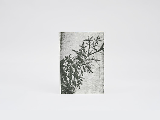 notatniki i albumy Notes Czułość średni - Świerk