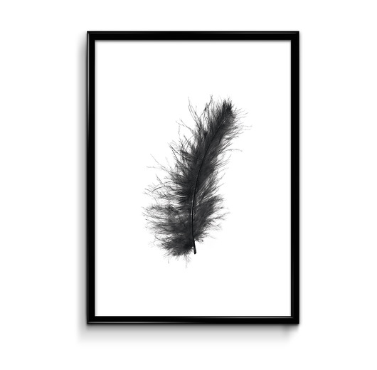 Plakat Pióro 30 x 40 Bury Lis