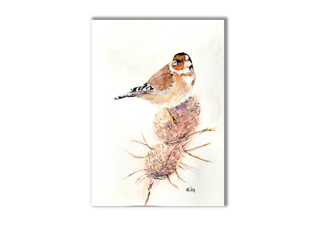 grafiki i ilustracje Akwarela ręcznie malowana "Szczygieł" ptaki