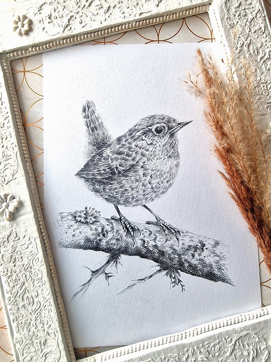 obrazy Ptaszek strzyżyk