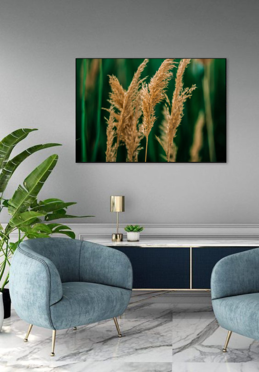 PLAKAT trawa pampasowa botaniczny natura black dot studio