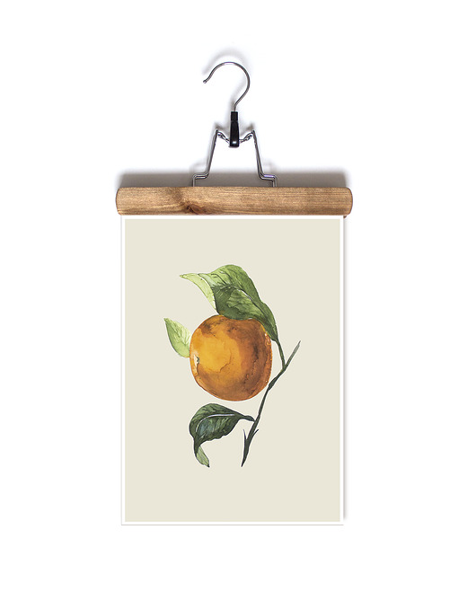Plakat botaniczny "Pomarańcza" A4 Maly Wielki Design