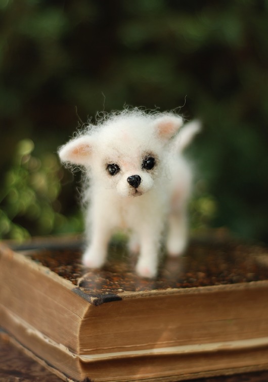 figurki i rzeźby Chihuahua Miniatura