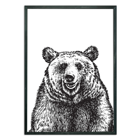 Plakat NIEDŹWIEDŹ DEKOSKA