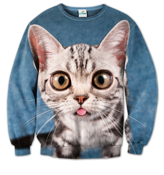 Bluza z Kotem Dachowcem kidsmob